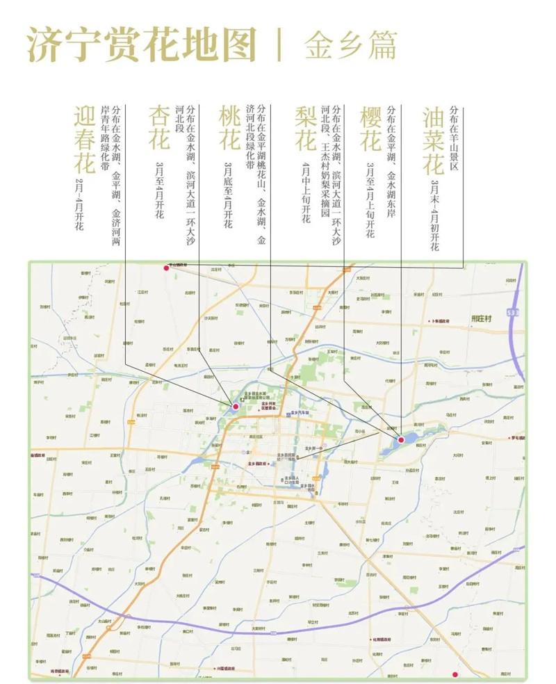 金乡县赏花地图 邹城市赏花地图