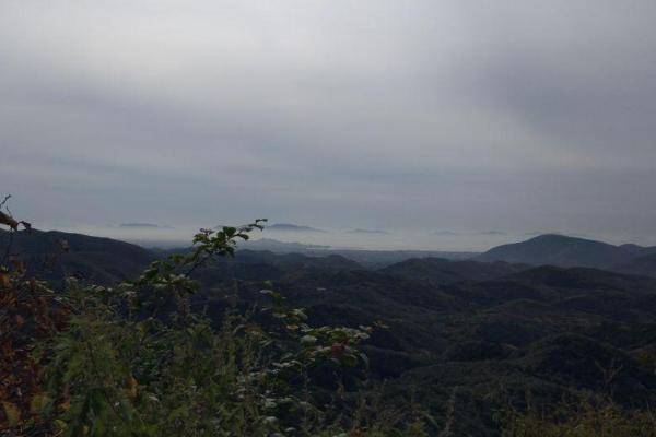 九龙山国家森林公园要门票吗，门票价格及优惠政策