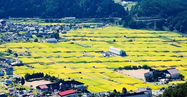 日本的农村怎么样子的日本的农村生活现实