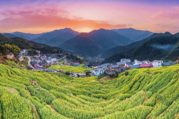 浙江油菜花最美的地方 浙江油菜花哪里最好看