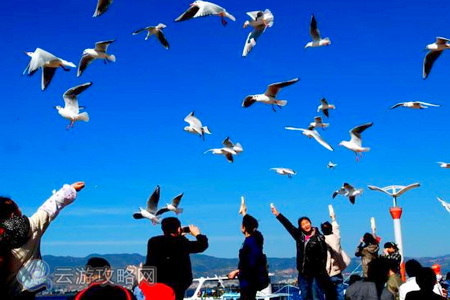 春節昆明周邊6條精品自駕游線路攻略