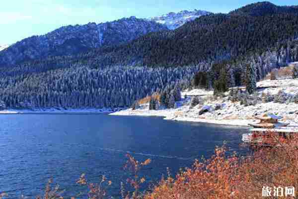 天山天池怎么去 去天山天池需要什么证件 天山天池怎么去 去天山天池需要什么证件