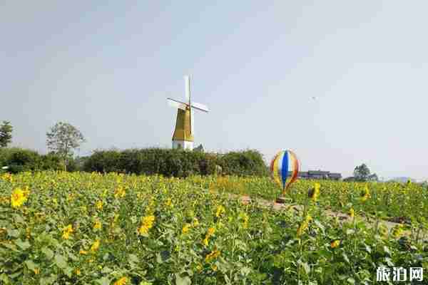 2020自贡西城荷花节时间和地点 2020自贡西城荷花节时间和地点