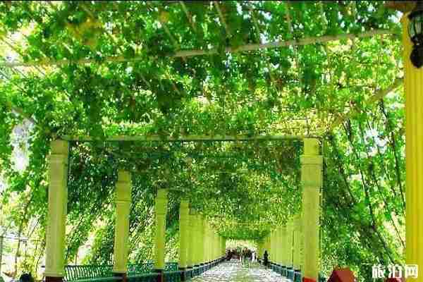 从乌鲁木齐去吐鲁番要隔离吗和景点推荐 从乌鲁木齐去吐鲁番要隔离吗和景点推荐