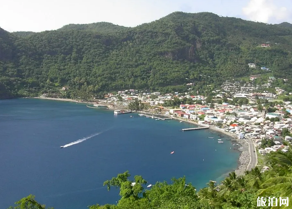 2020有哪些国家恢复旅游-入境所需资料