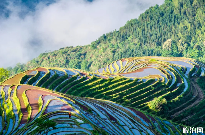 桂林最佳旅游季节是什么时候 桂林有哪些好玩的地方 桂林最佳旅游季节是什么时候 桂林有哪些好玩的地方