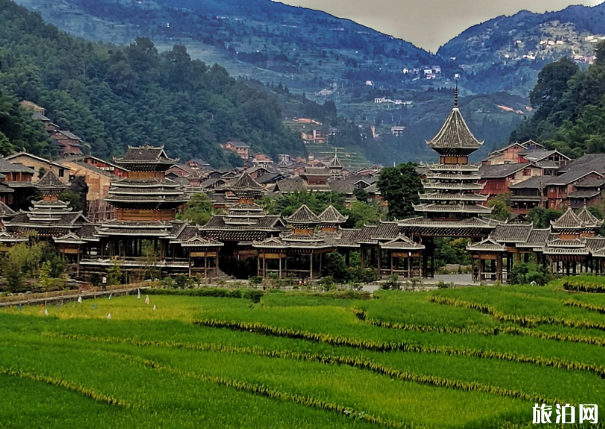 2020端午贵州景点预约旅游指南 一码游贵州使用指南 2020端午贵州景点预约旅游指南 一码游贵州使用指南