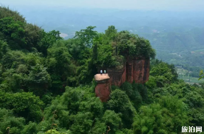 乐山大兴乡栀子花观赏攻略 乐山大兴乡栀子花观赏攻略