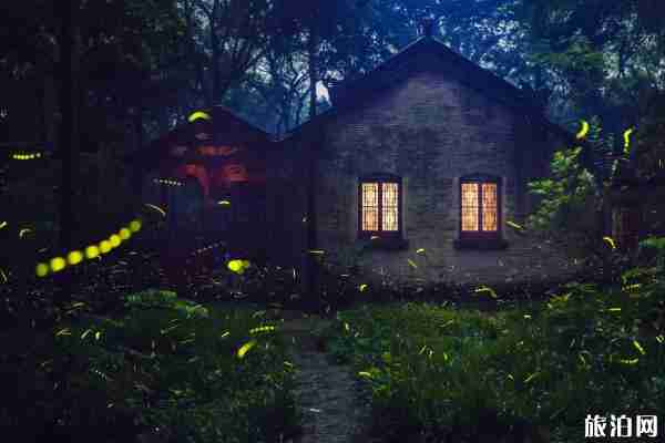 南京下雨天适合去哪里玩 南京下雨天适合去哪里玩
