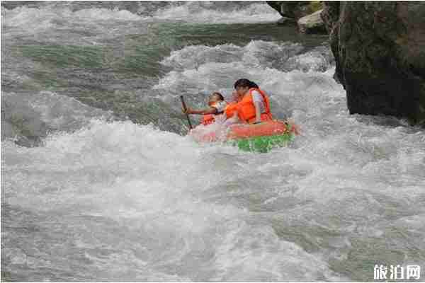 重庆避暑最好的地方有哪些 重庆避暑胜地推荐 重庆避暑最好的地方有哪些 重庆避暑胜地推荐
