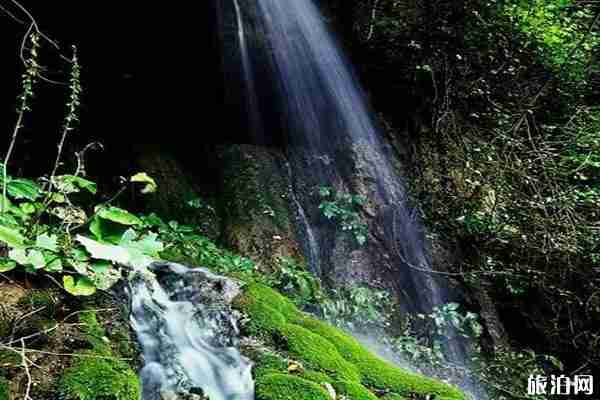 陕西避暑胜地有哪些 陕西避暑好地方推荐 陕西避暑胜地有哪些 陕西避暑好地方推荐