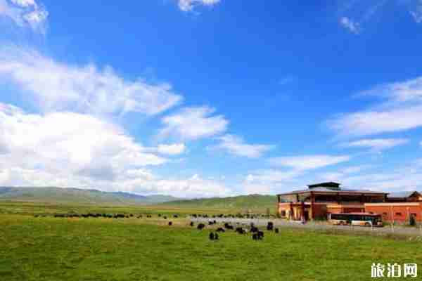 川西草原有哪些景点-最佳旅游时间及门票价格 川西草原有哪些景点-最佳旅游时间及门票价格