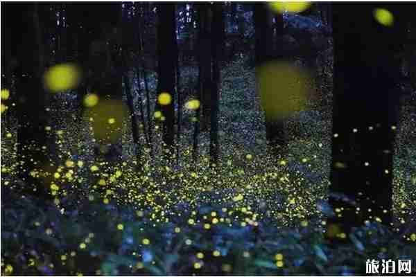 成都夏天适合去哪玩 成都夏天去哪里好玩凉快 成都夏天适合去哪玩 成都夏天去哪里好玩凉快