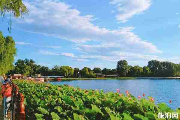 2020什刹海开放了吗和开放时间 2020什刹海开放了吗和开放时间