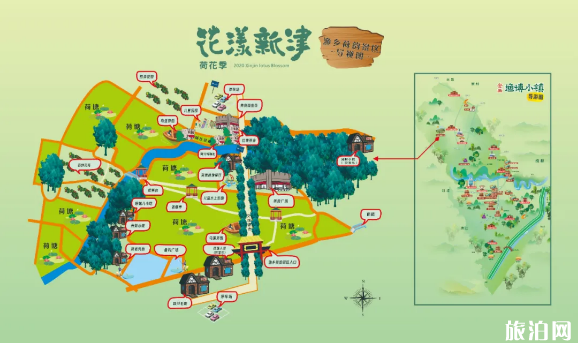 2020成都新津荷花时间地址及游玩路线