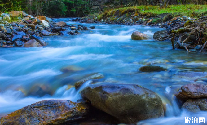 阿坝州有哪些免费景点适合夏天游玩 阿坝州有哪些免费景点适合夏天游玩