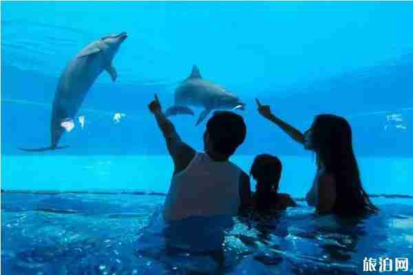 广州周边玩水的地方推荐 广州周边水上乐园攻略 广州周边玩水的地方推荐 广州周边水上乐园攻略