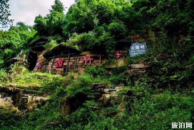 德阳周边哪里有竹林