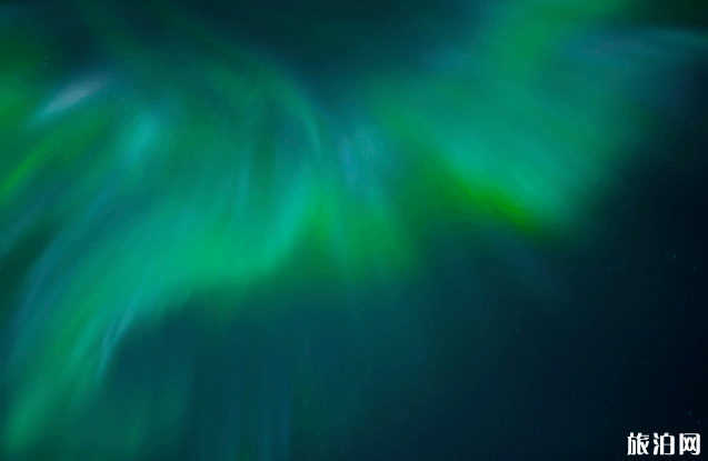 6月上海活动汇总 安义夜巷开放时间 6月上海活动汇总 安义夜巷开放时间