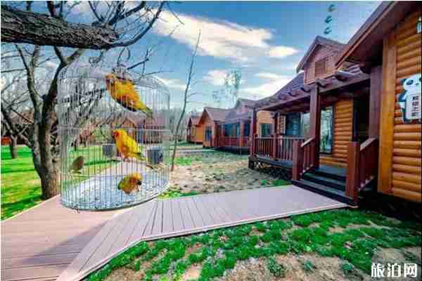 山东亲子游去哪里好玩 山东亲子游去哪里好玩