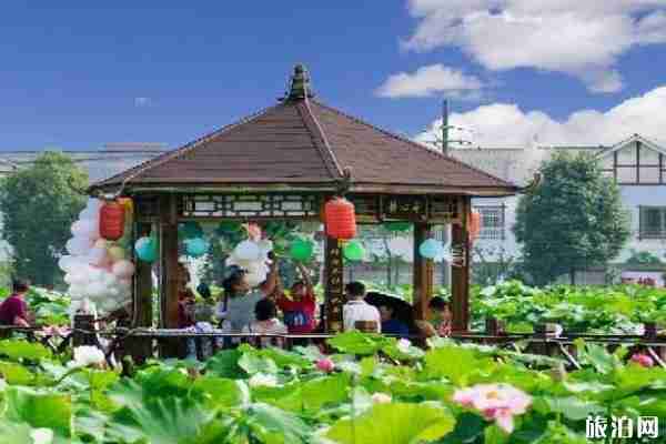 2020新津荷花节在哪里举办和什么时候结束