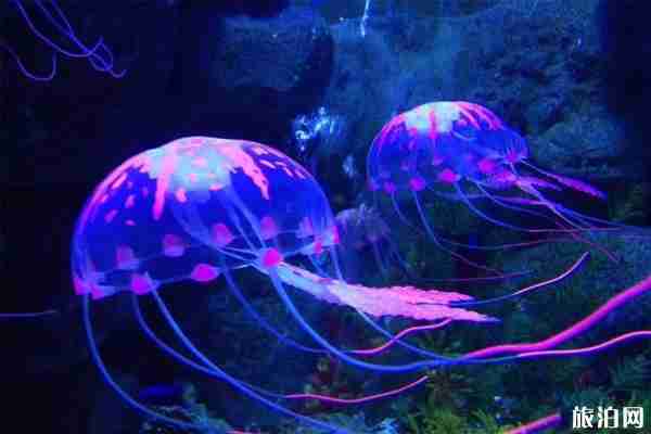 2020西安儿童节活动汇总 西安六一儿童节带孩子去哪玩 2020西安儿童节活动汇总 西安六一儿童节带孩子去哪玩