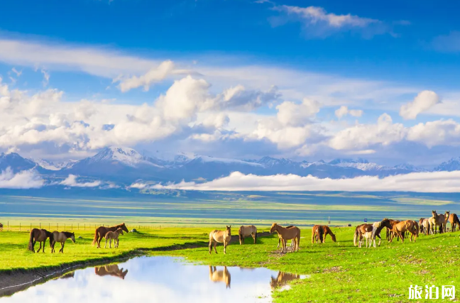 六月旅游国内最佳地排名 6月适合去什么地方 六月旅游国内最佳地排名 6月适合去什么地方
