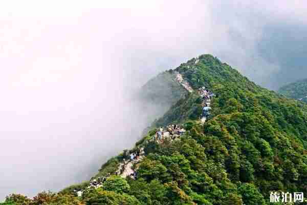 2020深圳梧桐山路线全攻略