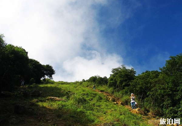 2020深圳梧桐山路线全攻略