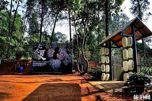 昆明郊野公园绣球花展2020时间和地点和门票 昆明郊野公园绣球花展2020时间和地点和门票