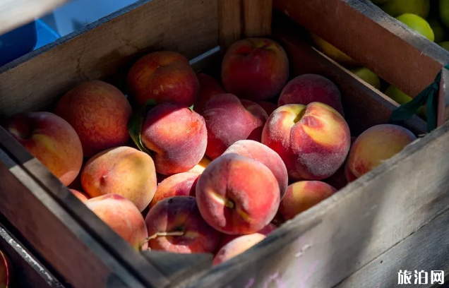 贵阳夏季有什么水果-采摘园推荐 贵阳夏季有什么水果-采摘园推荐