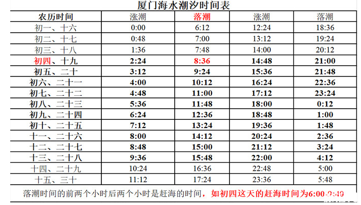 厦门赶海时间表2020 厦门赶海时间表2020