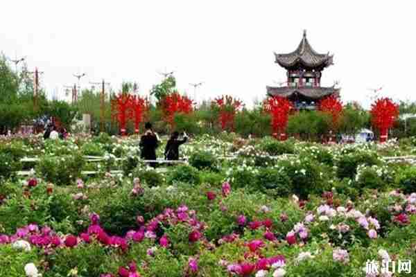 2020鄂尔多斯牡丹节时间和地址 鄂尔多斯牡丹节活动攻略