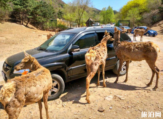 2020北京医护人员免费开放景点级游玩攻略