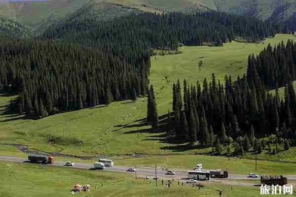 巩乃斯森林公园攻略 附门票地址交通 巩乃斯森林公园攻略 附门票地址交通