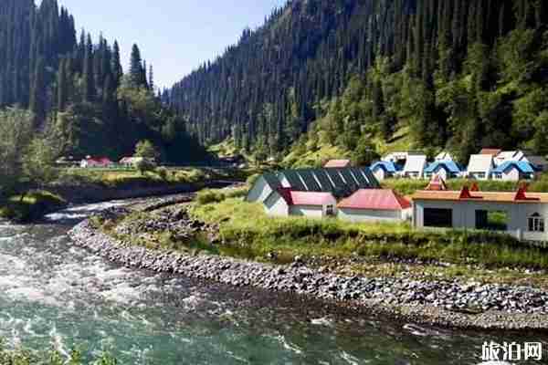 巩乃斯森林公园攻略 附门票地址交通 巩乃斯森林公园攻略 附门票地址交通