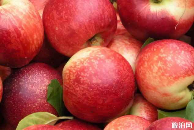 南京夏季水果采摘时间及地点推荐 南京夏季水果采摘时间及地点推荐