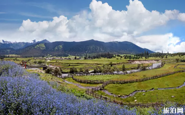 西南有哪些旅游景点 西南有哪些旅游景点