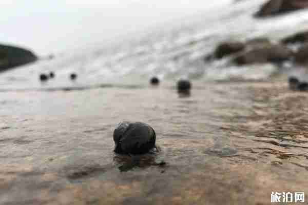 2020南澳岛赶海最佳时间是什么时候和最佳地点