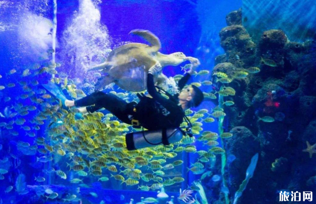 2020昆明开放的景区有哪些-限流及预约信息 2020昆明开放的景区有哪些-限流及预约信息