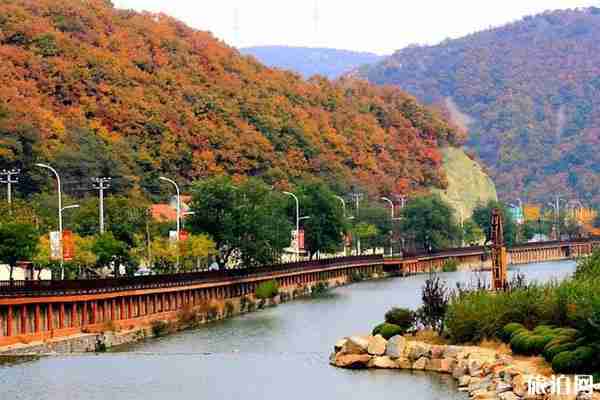 大连西郊国家森林公园哪个景区好玩