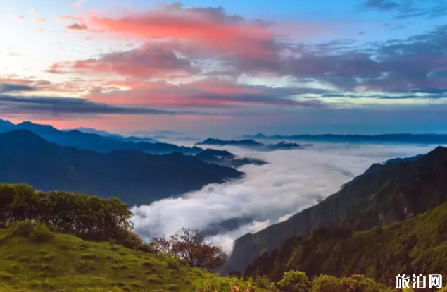 平武磨子坪杜鹃花最佳观赏期及游玩指南-美食推荐 平武磨子坪杜鹃花最佳观赏期及游玩指南-美食推荐