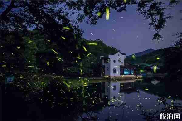 成都周边看萤火虫最佳的地方推荐