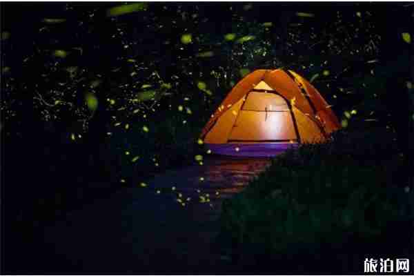 成都周边看萤火虫最佳的地方推荐