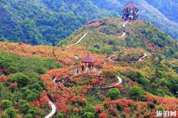 乘风破浪的姐姐们在哪录制-拍摄地景点有哪些 乘风破浪的姐姐们在哪录制-拍摄地景点有哪些