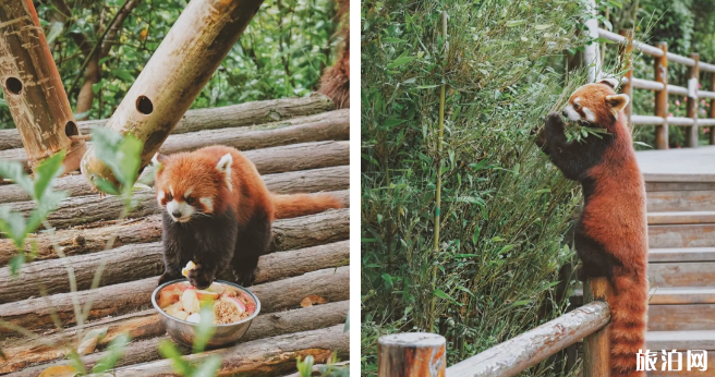 德阳周边牧场门票价格及交通指南 德阳牧场在哪里-游玩攻略
