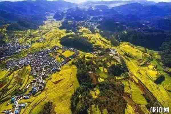 玉溪2020春節活動信息匯總 城區-新平縣城