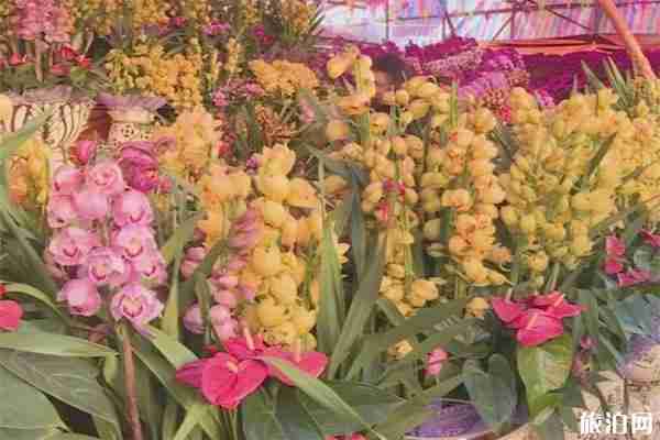 惠東縣2020年迎春花市 時間+地點