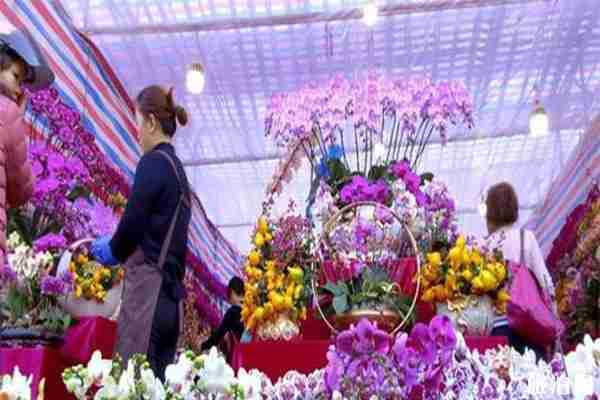 2020中山迎春花市各地區(qū)時間表