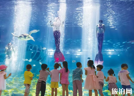 2019年福州海洋馬戲嘉年華有哪些活動 2019年福州海洋馬戲嘉年華有哪些活動